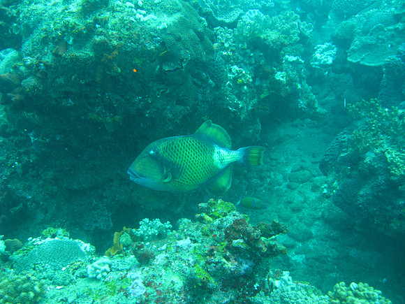 2 Mile Reef