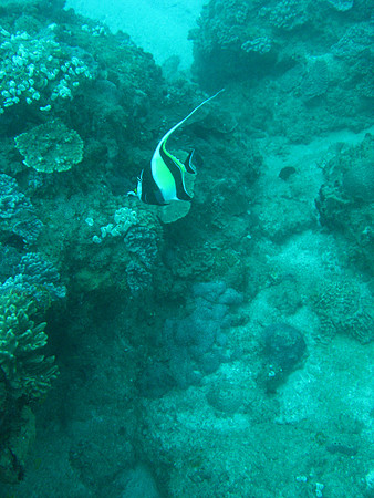 2 Mile Reef