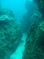 2 Mile Reef
