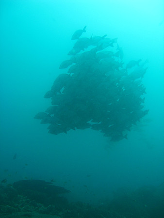 2 Mile Reef