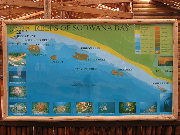 Reefs of Sodwana Bay