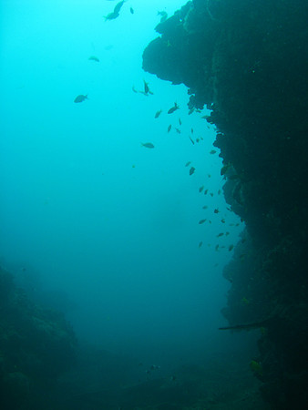 2 Mile Reef