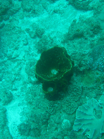 2 Mile Reef