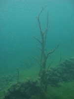 Lygnstølsvatnet 09